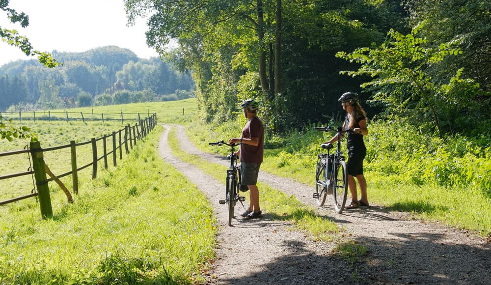 E-Bike Tour durch die Natur des Bayerischen Waldes bei Viechtach